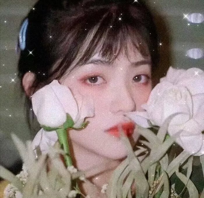 我是霸王龙